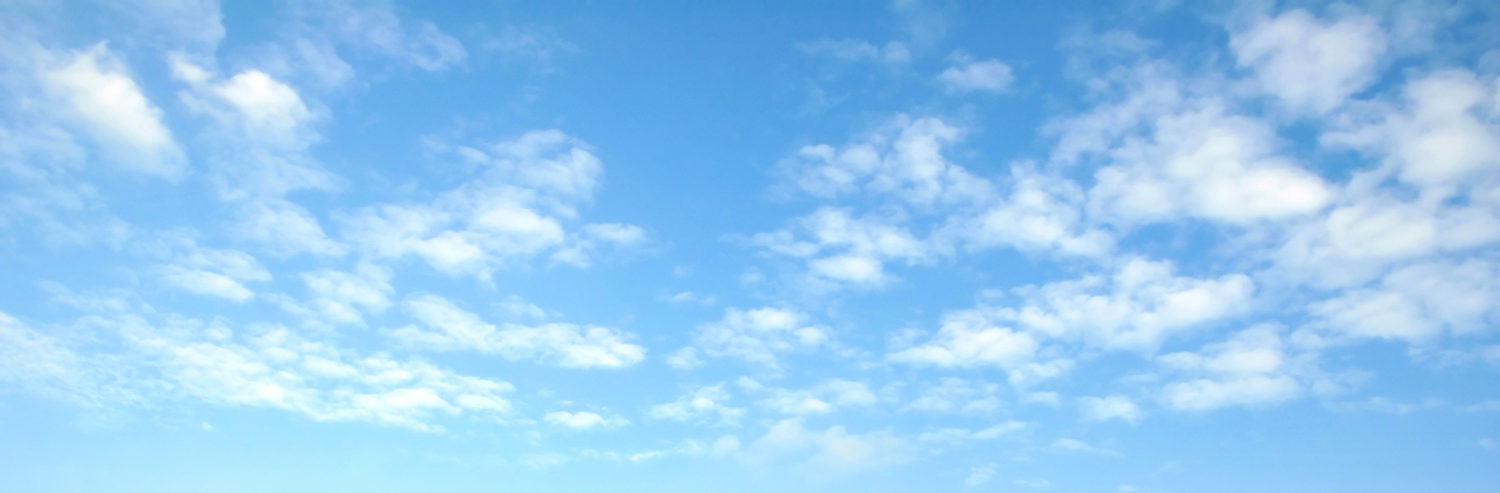 cropped-sky_grass.jpg